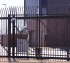 AFC Iowa City - Custom Gates, Ornamental Slide Gate